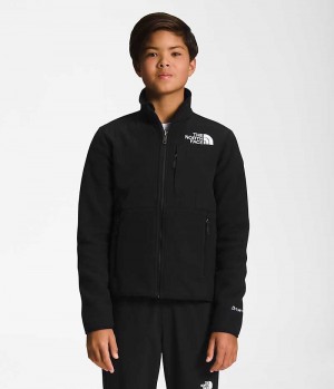 Black Boys' The North Face Denali Fleece Jacket | IRELAND UVMQ