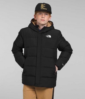 Black Boys' The North Face North Down Fleece-Lined Coat | DUBLIN HPQN