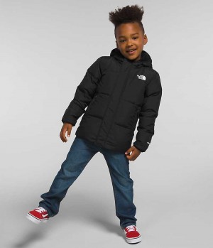 Black Boys' The North Face North Hooded Puffer Jacket | DUBLIN NCBP