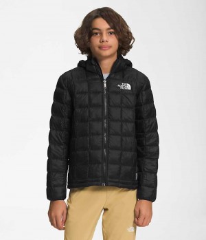 Black Boys' The North Face ThermoBall™ Hooded Puffer Jacket | IRELAND PFYS