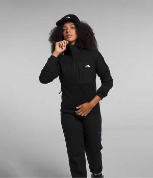 Black Women's The North Face Canyonlands High Altitude Hoodie Fleece Jacket | IRELAND FRYW