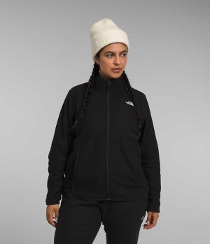 Black Women's The North Face Plus Alpine Polartec® 100 Fleece Jacket | DUBLIN OUZS