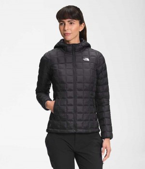 Black Women's The North Face ThermoBall™ Eco Hoodie 2.0 Puffer Jacket | DUBLIN FJMI