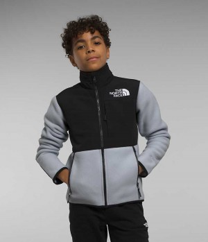 Black / Grey Boys' The North Face Denali Fleece Jacket | IRELAND DVGQ