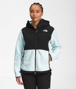 Black / Turquoise Women's The North Face Denali Hoodie Fleece Jacket | IRELAND VEHZ