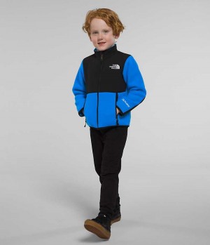 Blue Boys' The North Face Denali Fleece Jacket | IRELAND ZVDH