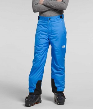 Blue Boys' The North Face Freedom Insulated Pants | DUBLIN HEVA