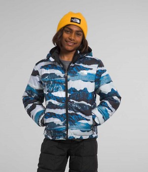 Blue Boys' The North Face Reversible Mt Chimbo Full-Zip Hooded Fleece Jacket | DUBLIN FTKZ