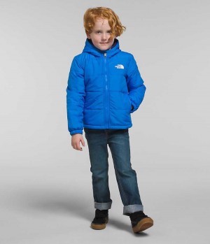 Blue Boys' The North Face Reversible Mt Chimbo Full-Zip Hooded Fleece Jacket | IRELAND KCAZ