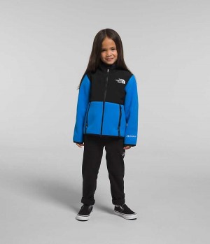 Blue Girls'' The North Face Denali Fleece Jacket | IRELAND AXFJ