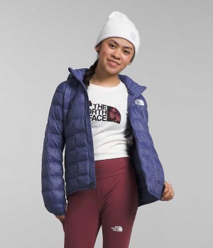 Blue Girls'' The North Face ThermoBall™ Hooded Puffer Jacket | DUBLIN PRYE