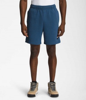 Blue Men's The North Face Box NSE Shorts | IRELAND KVDU