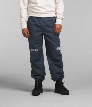 Blue Men's The North Face GTX Mountain Rain Pants | DUBLIN QJEV