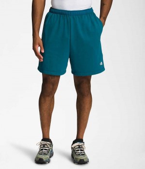 Blue Men's The North Face Simple Logo Fleece Shorts | IRELAND JYST