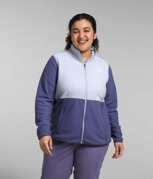 Blue Women's The North Face Plus Alpine Polartec® 100 Fleece Jacket | DUBLIN YJRA