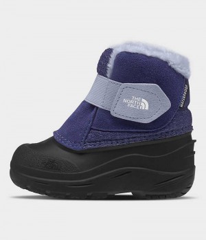 Blue / Black Boys' The North Face Alpenglow II Winter Boots | DUBLIN WBXF