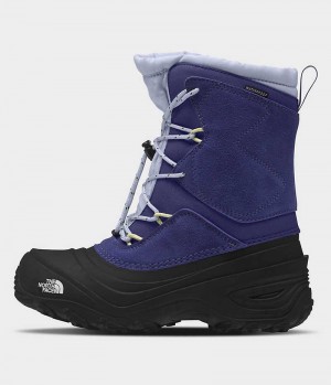 Blue / Black Boys' The North Face Alpenglow V Waterproof Winter Boots | IRELAND LTFC