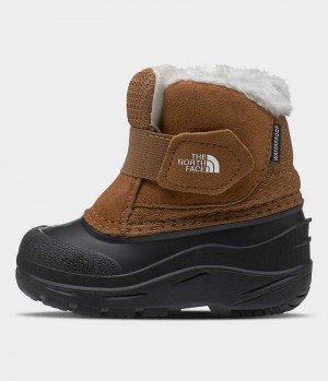 Brown Boys' The North Face Alpenglow II Winter Boots | DUBLIN NBQY