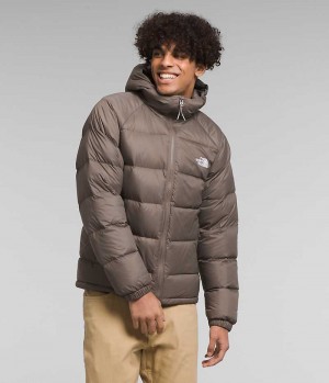 Brown Men's The North Face Hydrenalite™ Hoodie Puffer Jacket | DUBLIN VGAP