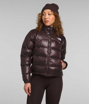 Brown Women's The North Face 2000 Retro Nuptse Puffer Jacket | IRELAND RMFQ