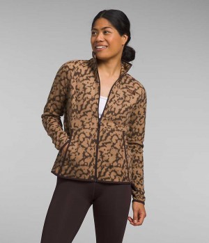 Brown Women's The North Face Alpine Polartec® 100 Fleece Jacket | DUBLIN JUWI