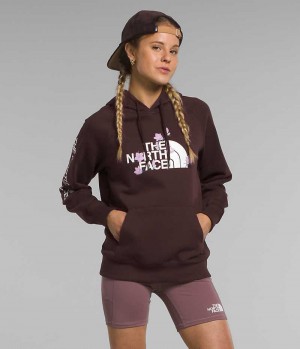 Brown Women's The North Face Brand Proud Hoodie | IRELAND FNXP