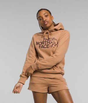 Brown Women's The North Face Half Dome Pullover Hoodie | DUBLIN NRXD