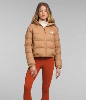 Brown Women's The North Face Hydrenalite™ Puffer Jacket | DUBLIN RIDE