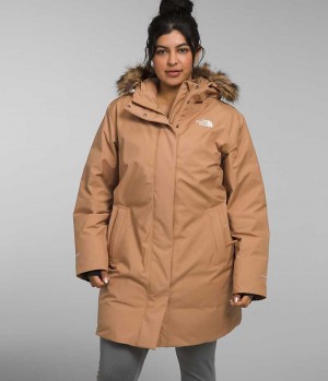 Brown Women's The North Face Plus Arctic Coat | IRELAND BKXE