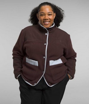 Brown Women's The North Face Plus Cragmont Fleece Jacket | DUBLIN MLUD