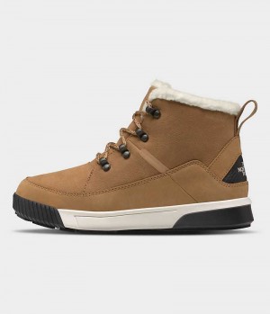 Brown Women's The North Face Sierra Mid Lace Waterproof Winter Boots | IRELAND NSZA