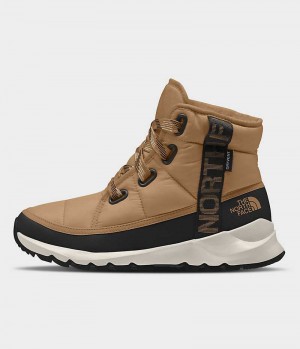 Brown Women's The North Face ThermoBall™ Lace Up Luxe Waterproof Winter Boots | DUBLIN JMHA