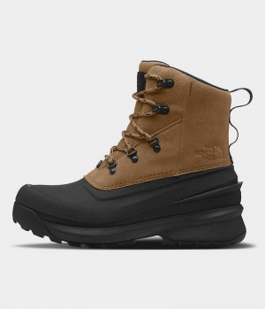 Brown / Black Men's The North Face Chilkat V Lace Waterproof Winter Boots | DUBLIN OBUE