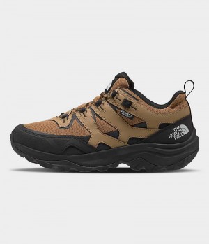 Brown / Black Men's The North Face Hedgehog 3 Waterproof Hiking Shoes | IRELAND LVGB