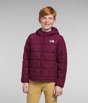 Burgundy Boys' The North Face Lhotse Puffer Jacket | DUBLIN MZPX