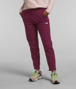 Burgundy Women's The North Face Alpine Polartec® 100 Fleece Pants | IRELAND ZSEL