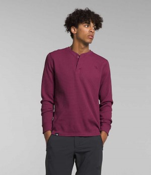 Fuchsia Men's The North Face Canyon Fog Thermal Long Sleeve Henley T-Shirt | DUBLIN OLGF