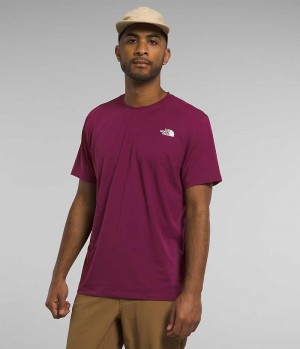 Fuchsia Men's The North Face Wander Short Sleeve T-Shirt | DUBLIN YMSO