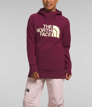 Fuchsia Women's The North Face Tekno Pullover Hoodie | IRELAND AWMR