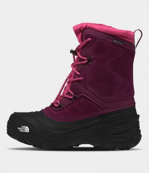 Fuchsia / Black Boys' The North Face Alpenglow V Waterproof Winter Boots | IRELAND PSIJ