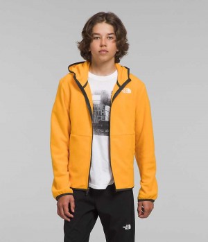 Gold Boys' The North Face Glacier Full-Zip Hooded Fleece Jacket | IRELAND ZKQJ