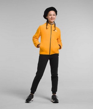 Gold Girls'' The North Face Glacier Full-Zip Hooded Fleece Jacket | DUBLIN RFBS