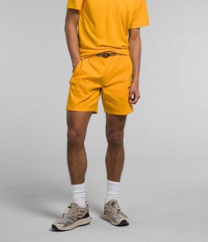 Gold Men's The North Face Class V Belted Shorts | IRELAND HAJG