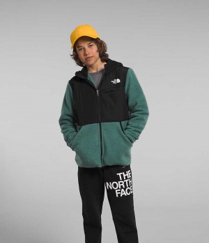 Green Boys' The North Face Forrest Full-Zip Hooded Fleece Jacket | IRELAND YLOB