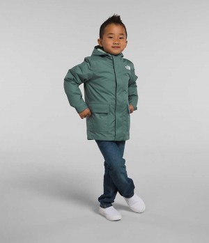 Green Boys' The North Face North Triclimate® Puffer Jacket | DUBLIN GDXQ