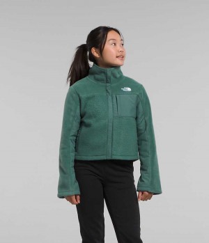 Green Girls'' The North Face Fleece Mashup Fleece Jacket | DUBLIN ATJY