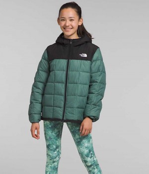 Green Girls'' The North Face Lhotse Puffer Jacket | IRELAND XJTM