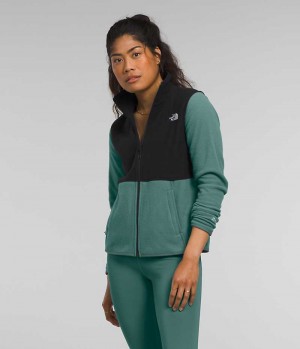 Green Women's The North Face Alpine Polartec® 100 Fleece Jacket | DUBLIN VLAT