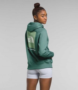 Green Women's The North Face Box NSE Pullover Hoodie | DUBLIN TSBN