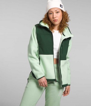 Green Women's The North Face Denali Hoodie Fleece Jacket | DUBLIN JTVU